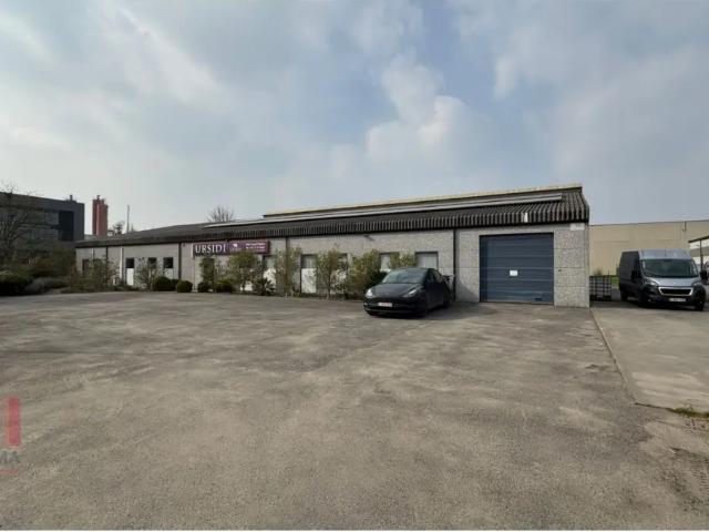 à vendre Surface industrielle Lebbeke D'helst