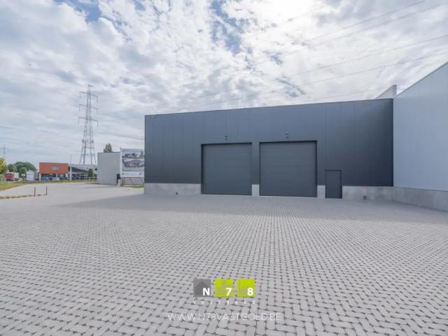 à vendre Surface industrielle Maaseik Gremelsloweg