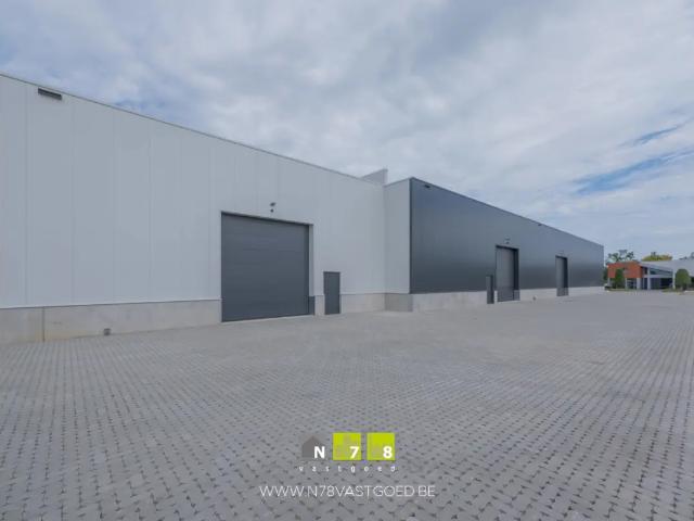 à vendre Surface industrielle Maaseik Gremelsloweg