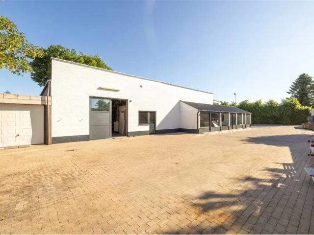à vendre Surface industrielle Malle Oude Baan