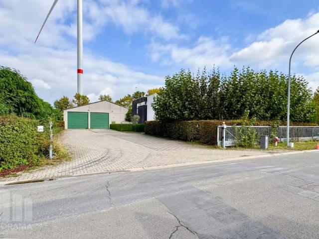 à vendre Surface industrielle Puurs Lichterveld