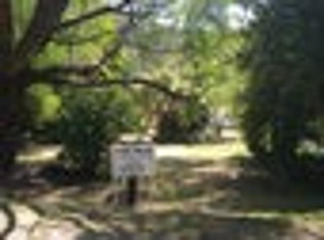 A very affordable ¼ acre of paradise on Aotea