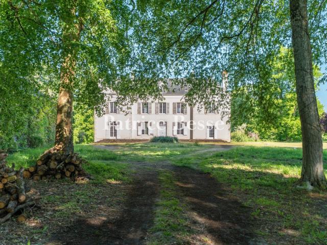 À 1 h 30 de Paris, à l'orée d'un village de la petite Sologn. 650m² Ouzouer sur Trézée