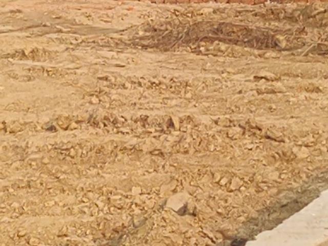 A 1 Real Estate Pvt Ltd 1360 Sq. Ft. Plot in Mirzamurad Varanasi Listing ID: #10020