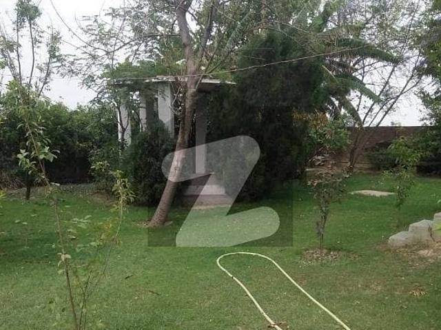 A 24 Kanal Farm House Located In BRB Canal Road Is Available For Sale