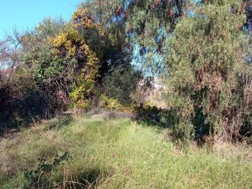 A 2 CUADRAS DEL CALLE FREIRE