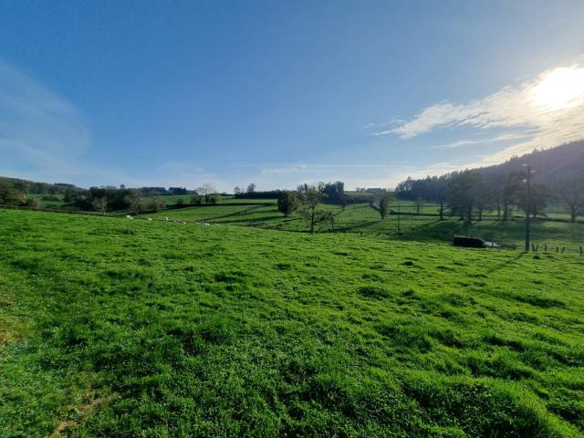 A 30 minutes de Macon 232m² Verosvres