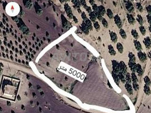 À 40 km de la ville de Fès