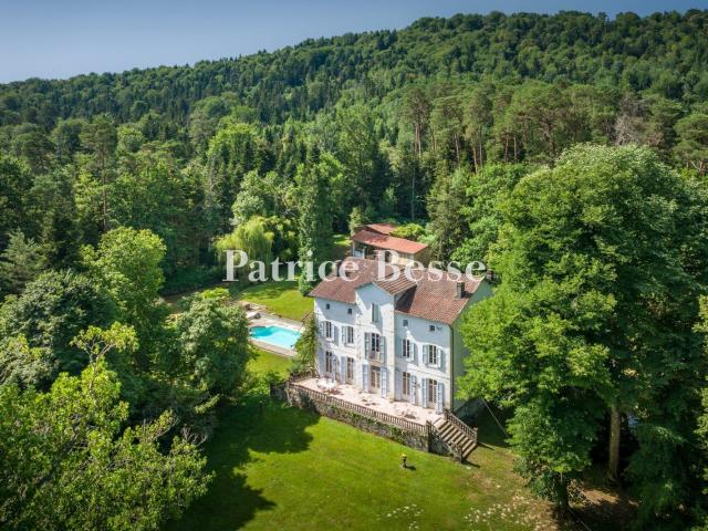 À 50 min de Toulouse, une maison de maître, ses dépendances. 650m² Sainte Croix Volvestre