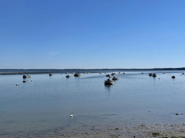 A 700 m du Golfe