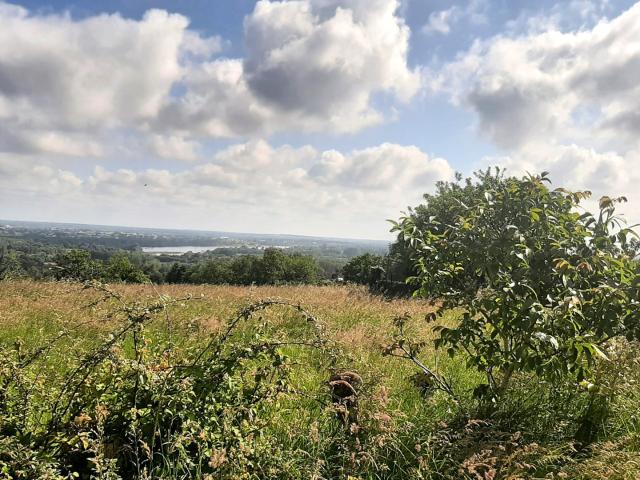 A 8 minutes d'Ancenis Terrain de 497 m2 sur la commune de Drain. Libre de constructeur