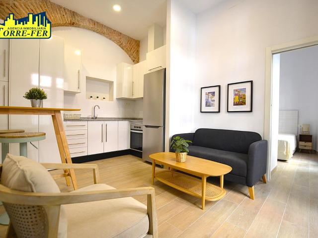 ACOGEDOR Y CENTRICO APARTAMENTO EN ALQUILER