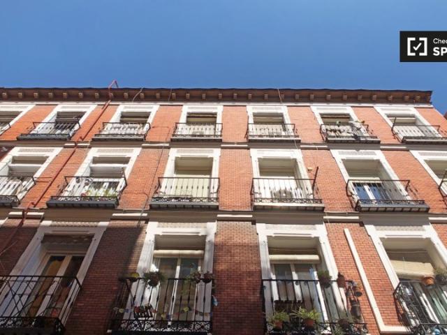 Acogedor apartamento de 1 dormitorio en alquiler en Lavapiés, Madrid