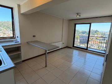 Acogedor departamento 1d 1b vista poniente
