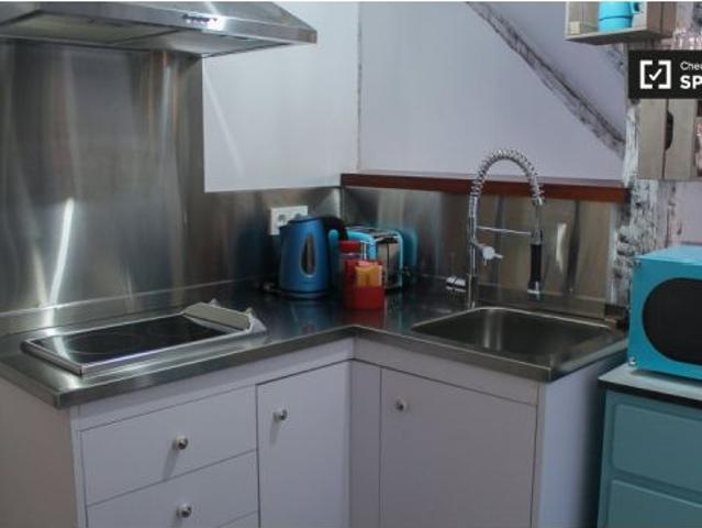 Acogedor estudio en alquiler en Madrid Centro