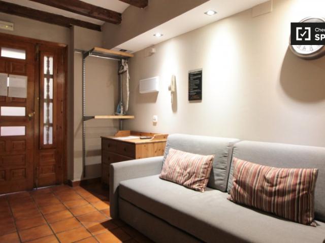 Acogedor estudio en alquiler en El Raval, Barcelona