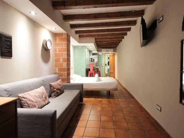 Acogedor estudio en alquiler en El Raval, Barcelona