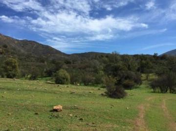 Acogedora Parcela con amplio campo de 44 hectáreas en Colliguay