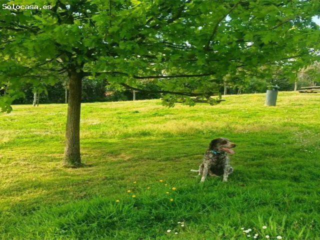 Acogedora Planta Baja en Avilés con Jardín Comunitario y Comodidades