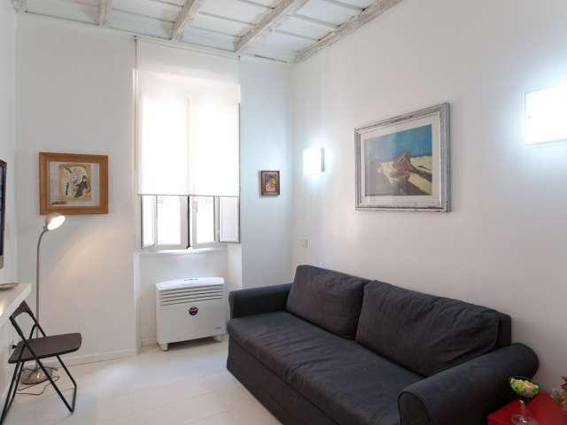 Accogliente appartamento con 1 camera da letto in affitto nel Centro Storico, a Roma