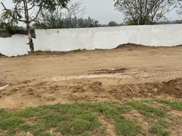 ACE Acreville 162 Sq.Yd. Plot in Sector 22a Yamuna Expressway Greater Noida Listing ID: #10236