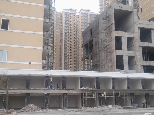 ACE Platinum 2.5 Bedroom 1200 Sq. Ft. Apartment in Zeta I Greater Noida Listing ID: #9909