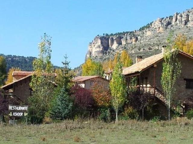 Acebos del Tajo