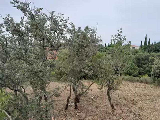 Achat terrains Villeneuve lès Avignon