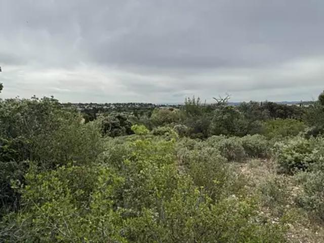 Achat terrains Villeneuve lès Avignon