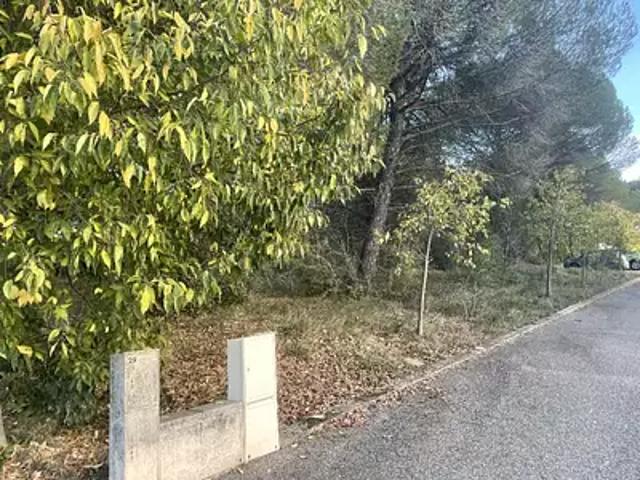 Achat terrains Alleins