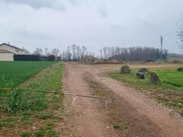 Achat terrains Ars sur Formans