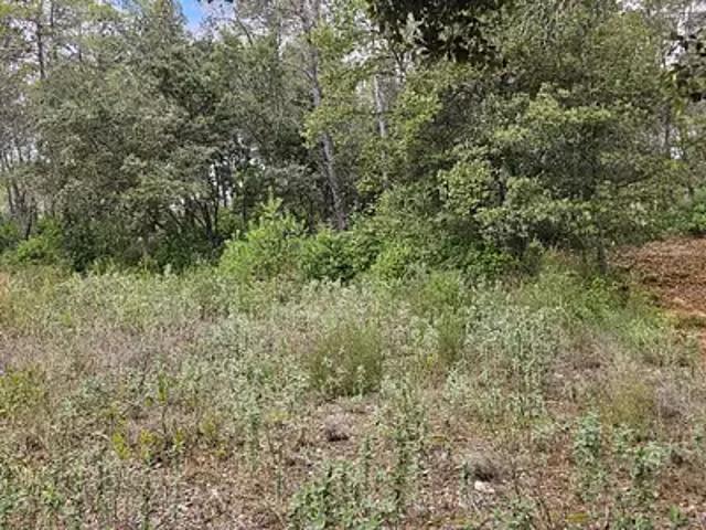 Achat terrains Bagnols en Forêt