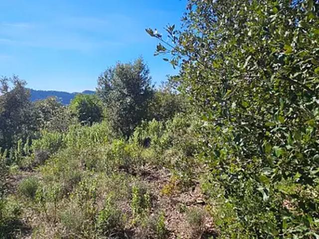 Achat terrains Bagnols en Forêt