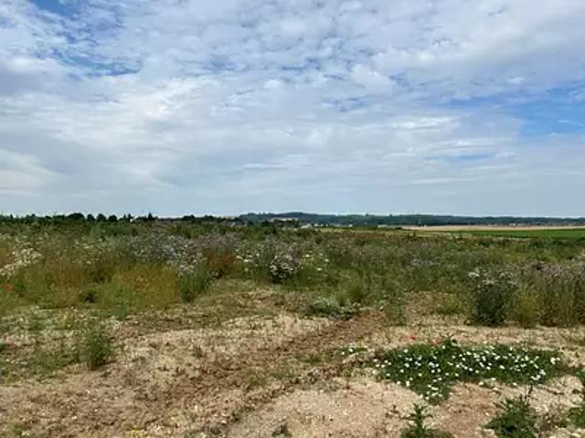 Achat terrains Bailleul Sir Berthoult