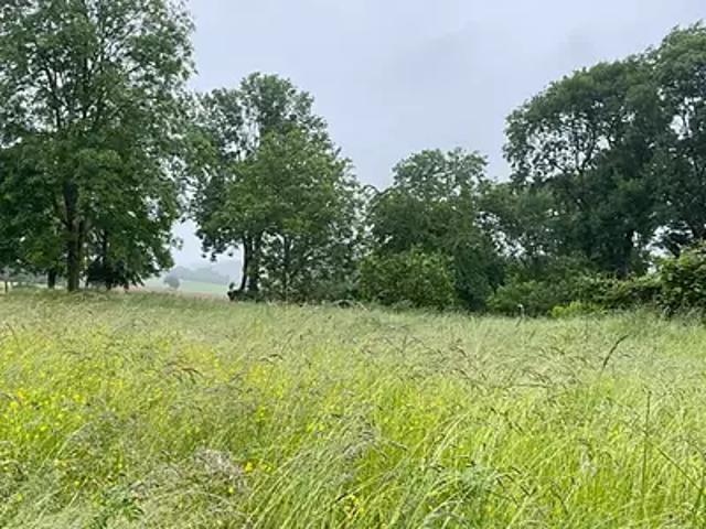 Achat terrains Bézu la Forêt