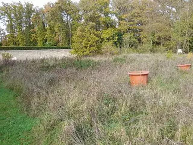 Achat terrains Briis sous Forges