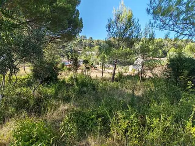 Achat terrains Camps la Source