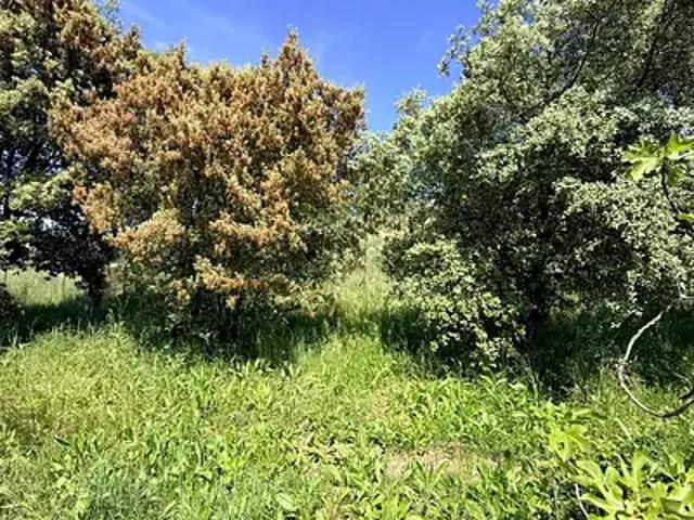 Achat terrains Cabriès