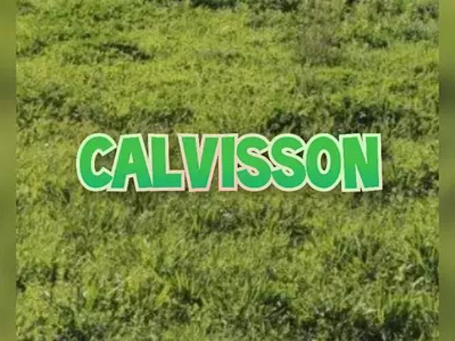 Achat terrains Calvisson