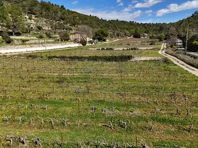 Achat terrains Cotignac