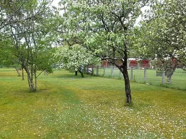 Achat terrains Couzeix