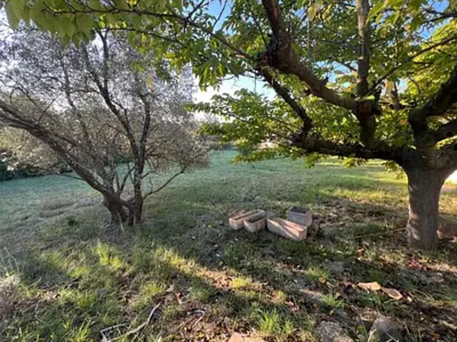Achat terrains Clermont l'Hérault
