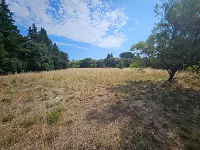 Achat terrains Fontvieille