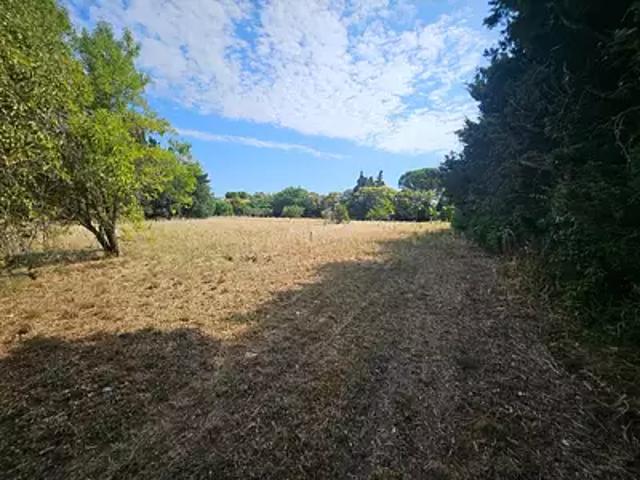 Achat terrains Fontvieille