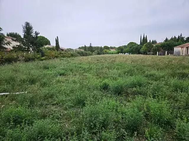 Achat terrains Fontvieille