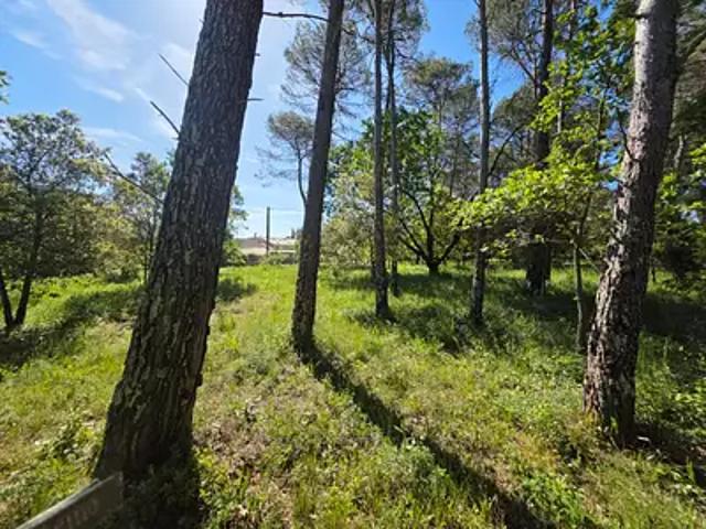Achat terrains Garéoult