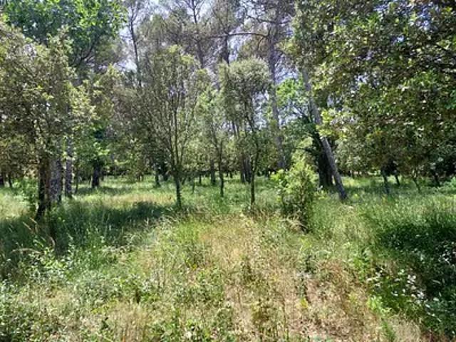 Achat terrains Garéoult