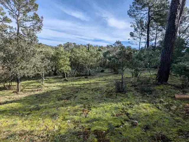 Achat terrains Garéoult