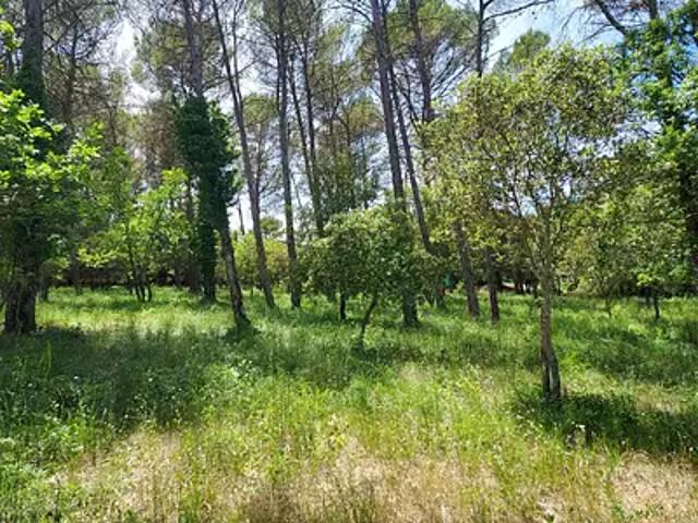 Achat terrains Garéoult