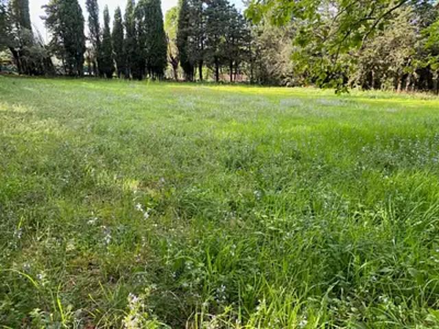 Achat terrains Grillon